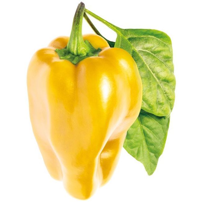 Smart Garden Sladká žltá paprika